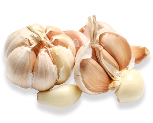 Par de cabezas de ajo spring blanco abiertas, cumarli, Las Pedroñeras