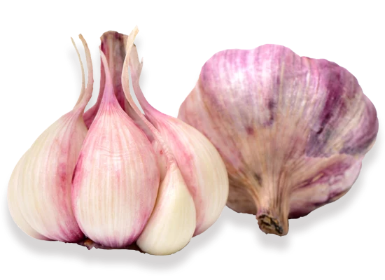 Dos cabezas de ajo spring violeta, una pelada y otra no, Cumarli, Las Pedroñeras